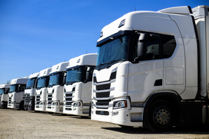 SWAN's Motor Insurance